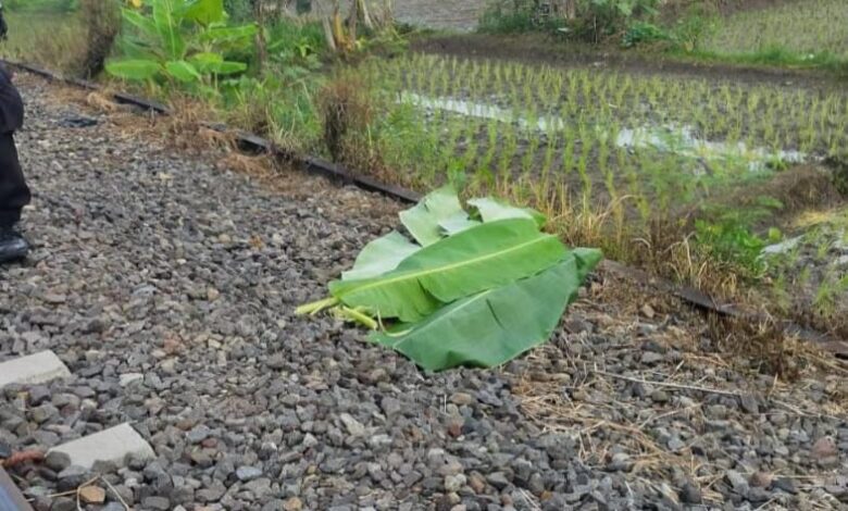 Ibu-ibu Tewas Menemper Kereta Api Siliwangi di Karangtengah