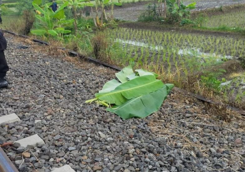 Ibu-ibu Tewas Menemper Kereta Api Siliwangi di Karangtengah