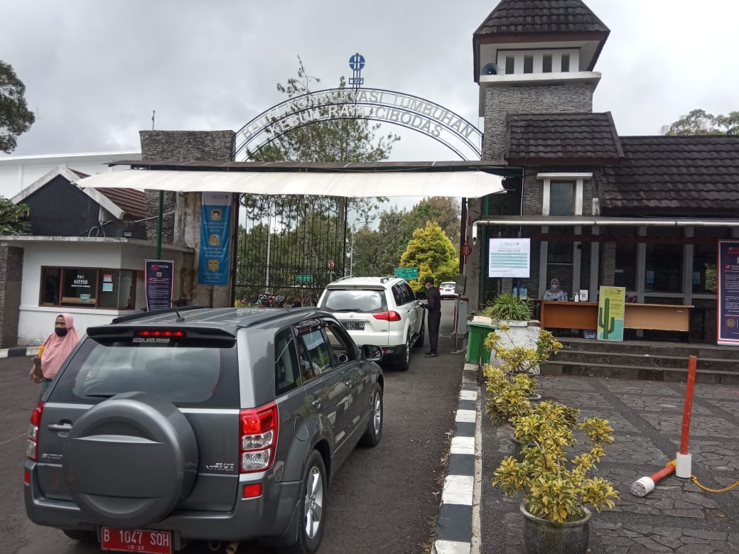 Kebun Raya Cibodas Mulai Ramai Pengunjung, Prokes Terus Diperketat