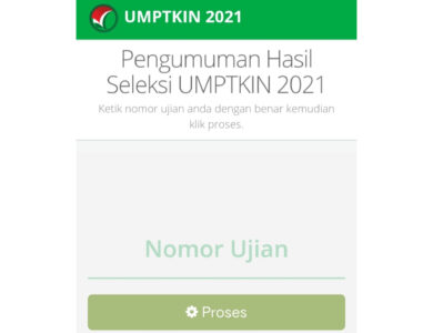 Hari Ini Hasil Seleksi UMPTKIN Diumumkan, Cek di Sini!