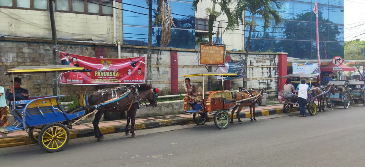 PPKM Darurat, Kusir Delman di Cianjur Sebagian Besar Berhenti Beroperasi