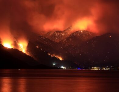 Hutan di Turki Kebakaran, Tagar Pray For Turkey Menggema di Twitter