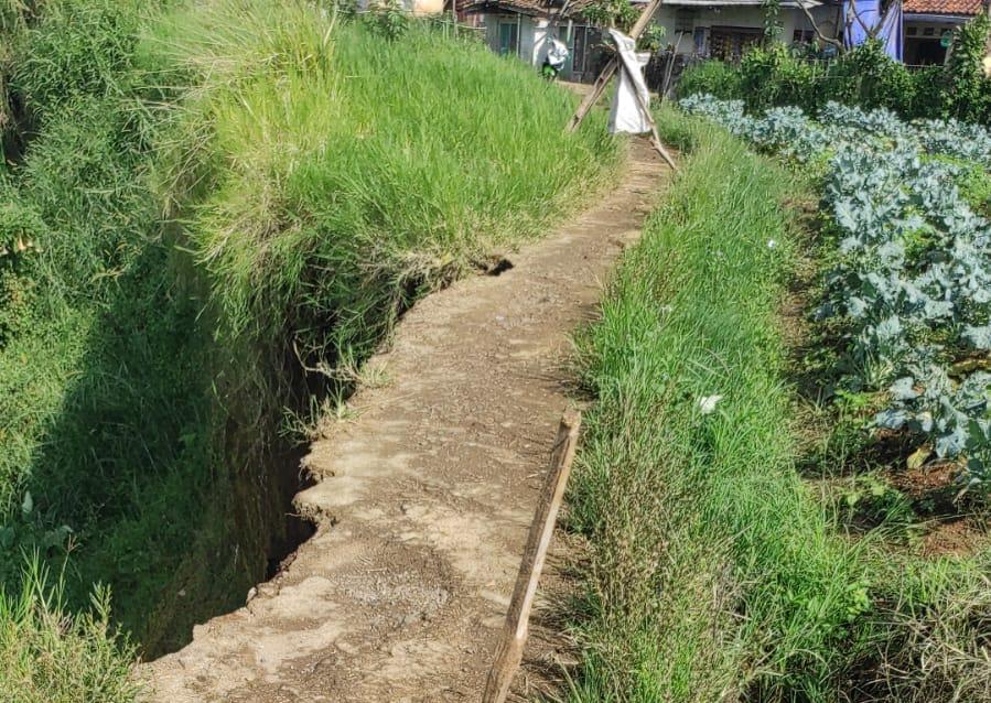 Tebing 100 Meter Longsor di Cipanas, Jalan Penghubung Antar Kampung Putus