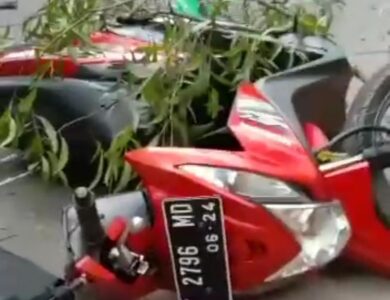 Tertimpa Pohon Tumbang, Seorang Driver Ojek Online Luka Parah di Kepala