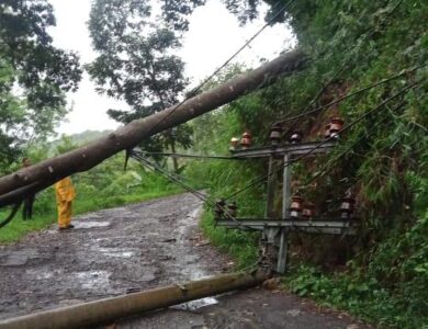 Pohon Tumbang Bikin Putus Kabel PLN, Listrik Sejumlah Desa di Sukaresmi Padam 3 Jam