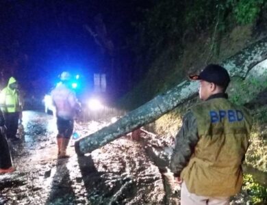 Pohon di Cibeber Tumbang, Arus Lalu Lintas Sempat Macet