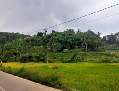 Banyak Lahan Telantar, P2T2 Layangkan Surat ke DPRD Cianjur