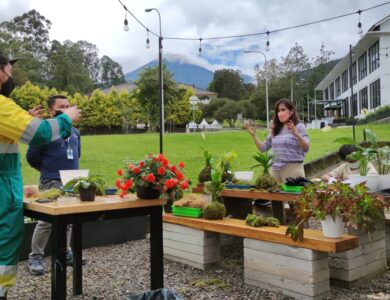 Kebun Raya Cibodas Rilis Koleksi Tanaman Handcrafted