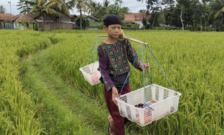 Kisah Bayu Jualan Keliling untuk Beli HP Karena Harus Belajar Daring