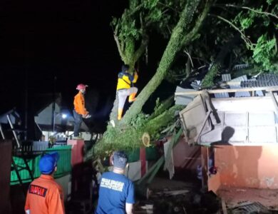 Pohon Tumbang di Ciranjang Timpa Rumah Warga, Tim Gabungan Gercep Evakuasi