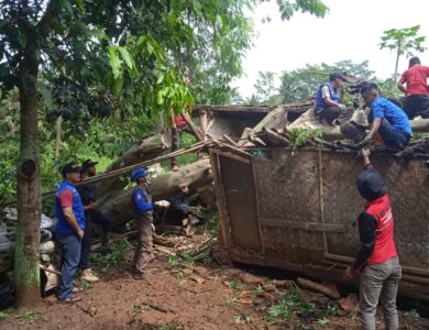 Pohon Tumbang Timpa Rumah Warga di Cibeber