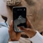 Download Video TikTok Tanpa Watermark