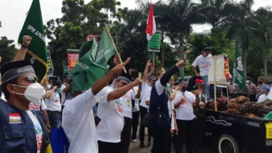 Aksi demo petani kelapa sawit