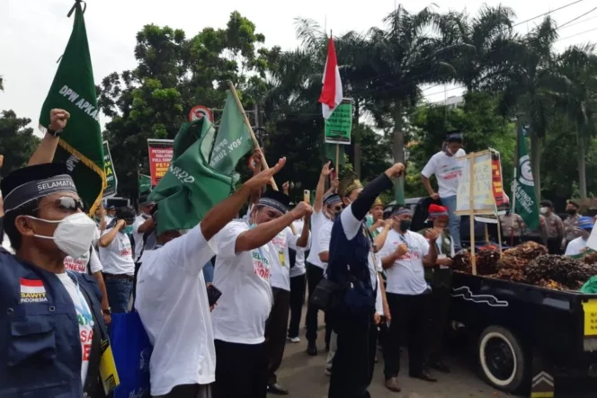 
					Aksi unjuk rasa petani kelapa sawit. (Foto: Bisnis.com)