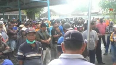 Pasar Hewan di Malang Ditutup Pemerintah, Warga Protes Akan Kebijakan Tersebut