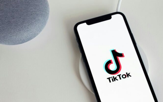 
					Aplikasi Penghasil Uang yang Terbukti Membayar