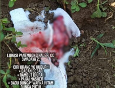 Penemuan Janin di Cianjur