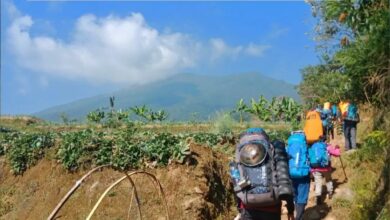 Pendakian Gunung Gede Pangrango Dibuka