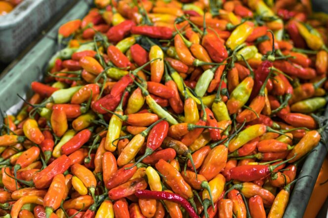
 Harga Cabai Rawit Merah di Cianjur Naik, Rp 100 Ribu Per Kilogram