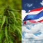 thailand legalkan ganja