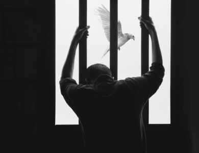 RUKHP Atur Menghina Pemerintah Dipenjara 3 Tahun, Ini Kata Pakar