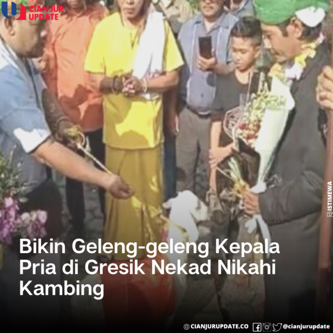 
 Geger, Pria Di Gresik Nekad Nikahi Kambing