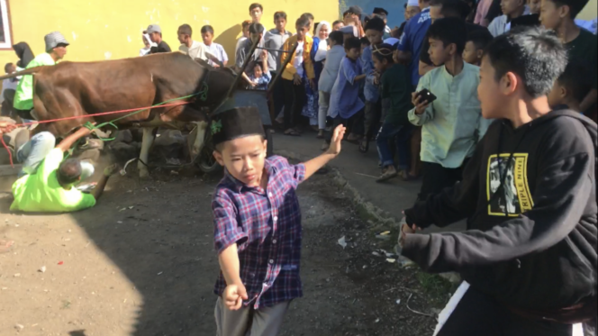
 Warga Kampung Wargaluyu, Desa Nagrak, Cianjur berhamburan karena seekor sapi kurban mengamuk ketika hendak disembelih.(Foto: Afsal Muhammad/cianjurupdate.com)