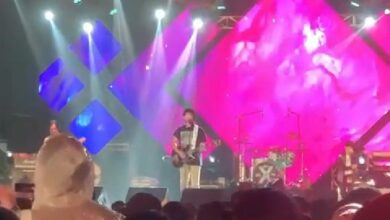 Konser Musik Cibodas Festival 2022 Dipenuhi Copet, Delapan Pelaku Ditangkap