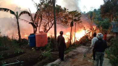Kebakaran, Kadang dan Ribuan Anak Ayam di Cipanas Cianjur Hangus