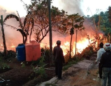 Kebakaran, Kadang dan Ribuan Anak Ayam di Cipanas Cianjur Hangus
