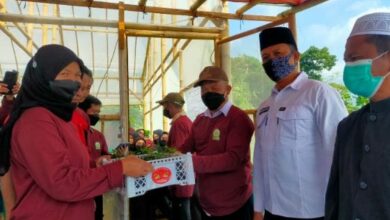 Tingkatkan Ketahanan Pangan, Ibu-Ibu Kelompok Tani Desa Sukatani Bagikan Ribuan Bibit Tanaman