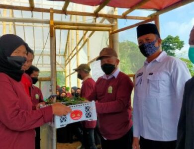 Tingkatkan Ketahanan Pangan, Ibu-Ibu Kelompok Tani Desa Sukatani Bagikan Ribuan Bibit Tanaman