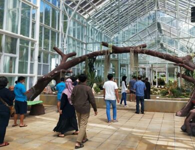 Rumah Kaca di Kebun Raya Cibodas Sudah Dibuka Untuk Umum