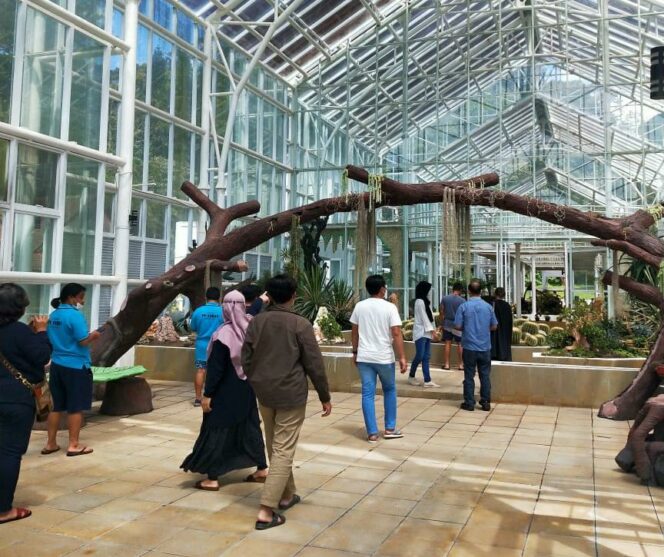 
 Rumah Kaca di Kebun Raya Cibodas Sudah Dibuka Untuk Umum.(Foto: Istimewa)