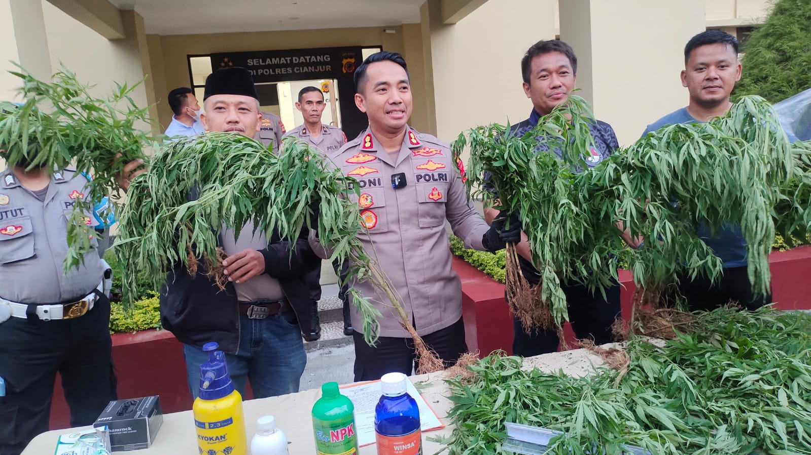 Kasus Ladang Ganja Cianjur Terungkap, Polisi Tangkap Penyuplai Bibit