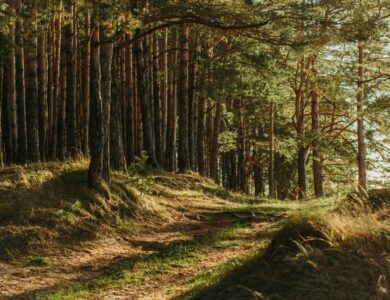 Kakek 79 Tahun Hilang di Kebun, Diduga Terperosok ke Sungai Cisokan