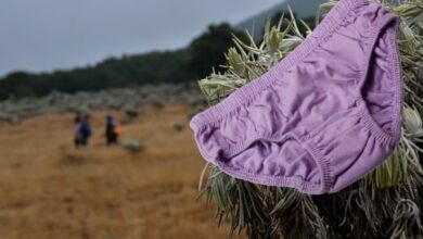 Marak Celana Dalam di Gunung Gede Pangrango