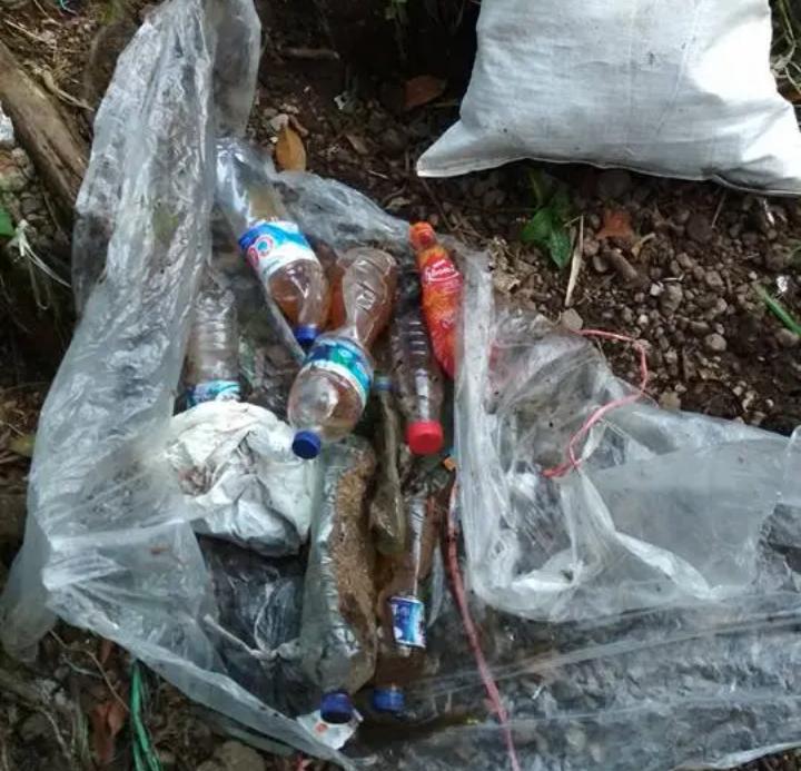 Marak Celana Dalam di Gunung Gede Pangrango