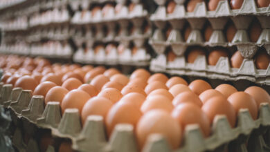 Harga Telur Ayam di Cianjur Naik