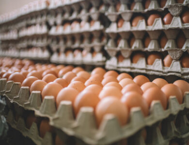 Harga Telur Ayam di Cianjur Naik