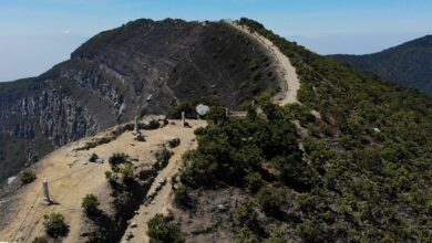 Gunung Gede Pangrango Ditutup Per 14 Agustus 2022, Pendaki Kecewa