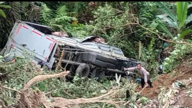Truk Mi Instan Terjun ke Jurang 20 Meter di Naringgul Cianjur