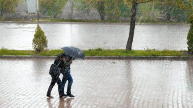 Hujan Angin, Warga Cianjur Waspada Banjir Bandang dan Pohon Tumbang