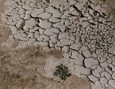 BPBD Cianjur Imbau Warga Waspada Kekeringan dan Kebakaran