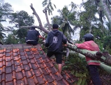 Hujan Angin, Pohon Tumbang Timpa Rumah di Sukaluyu Cianjur