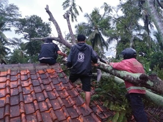 
 Hujan Angin, Pohon Tumbang Timpa Rumah di Sukaluyu Cianjur.(Foto: Istimewa)