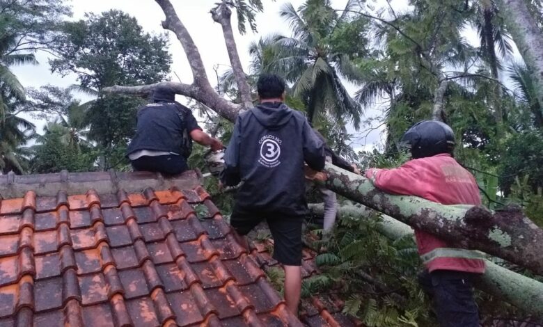 Hujan Angin, Pohon Tumbang Timpa Rumah di Sukaluyu Cianjur