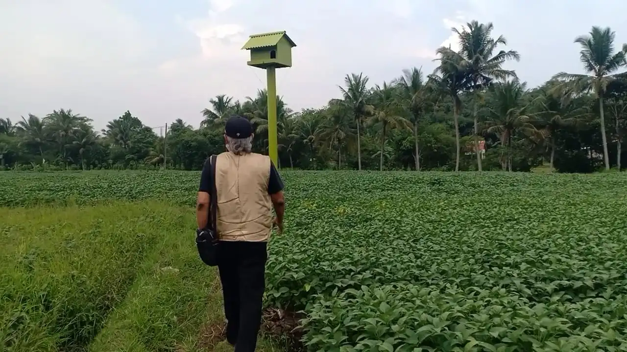 Pertanian Cianjur: Selalu Dibanggakan, Minim Pembangunan