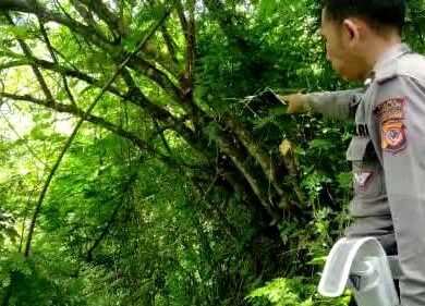 Seorang Pria Ditemukan Gantung Diri di Hutan Cibeber Cianjur