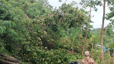 Tebing 20 Meter Longsor, Jalan Penghubung Dua Kecamatan di Cianjur Selatan Terisolir 